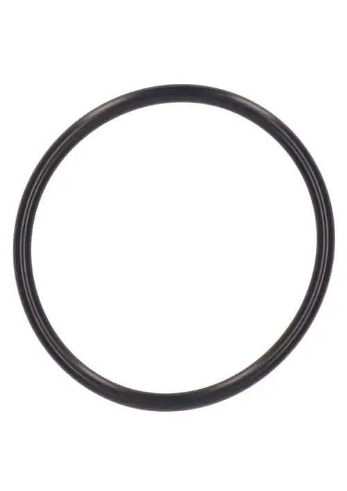 Schwarzer O-Ring von Judo, kreisförmig, mit glatter Oberfläche, auf weißem Hintergrund abgebildet.